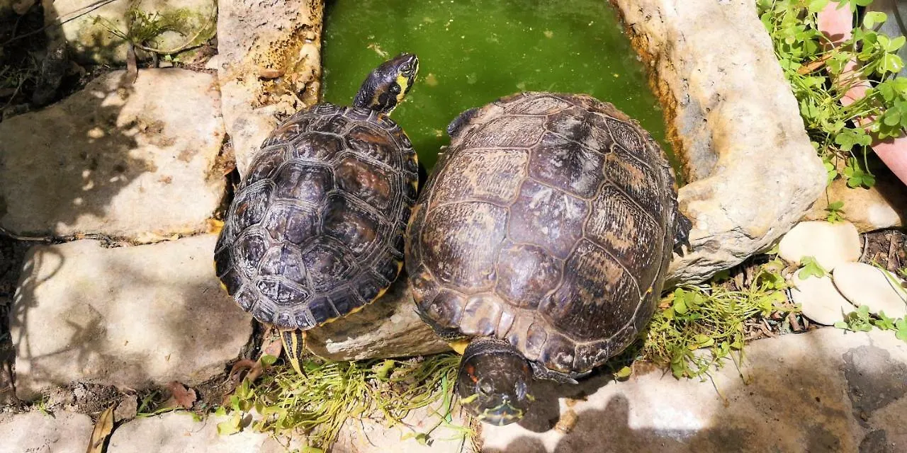 B&B Il Giardino Dei Sospiri Ragusa 0*,