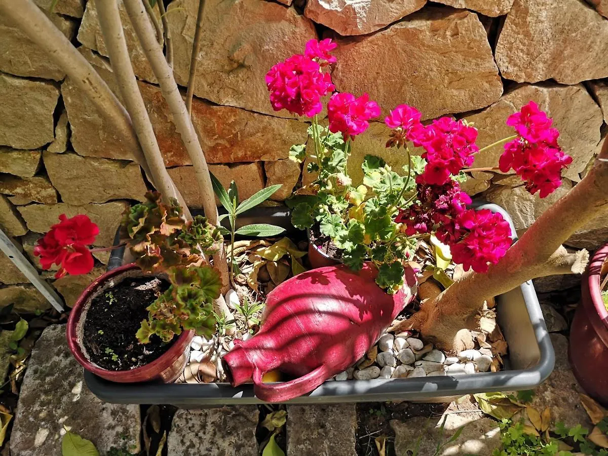 B&B Il Giardino Dei Sospiri Ragusa Italy